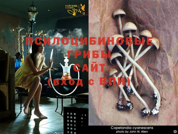 mdma Волоколамск